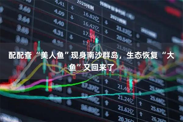 配配查 “美人鱼”现身南沙群岛，生态恢复 “大鱼”又回来了