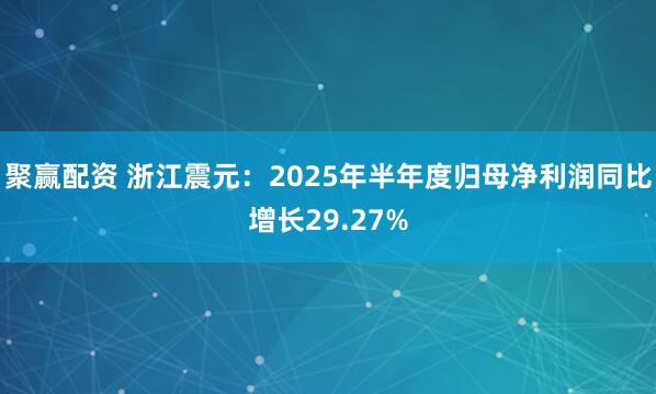 聚赢配资 浙江震元：2025年半年度归母净利润同比增长29.27%