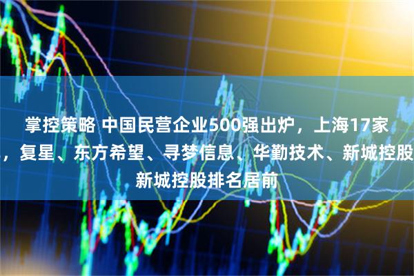 掌控策略 中国民营企业500强出炉，上海17家进入榜单，复星、东方希望、寻梦信息、华勤技术、新城控股排名居前