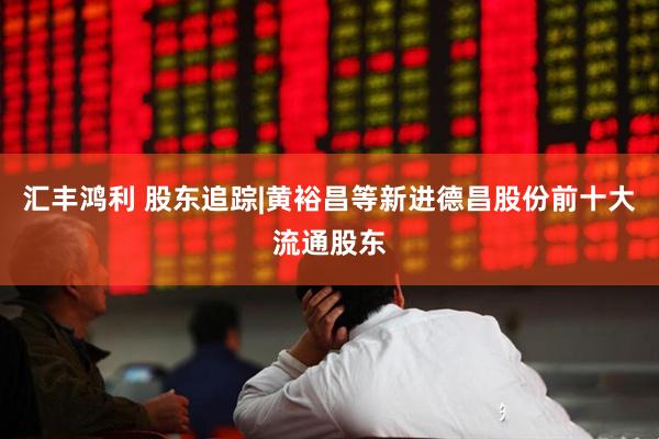汇丰鸿利 股东追踪|黄裕昌等新进德昌股份前十大流通股东