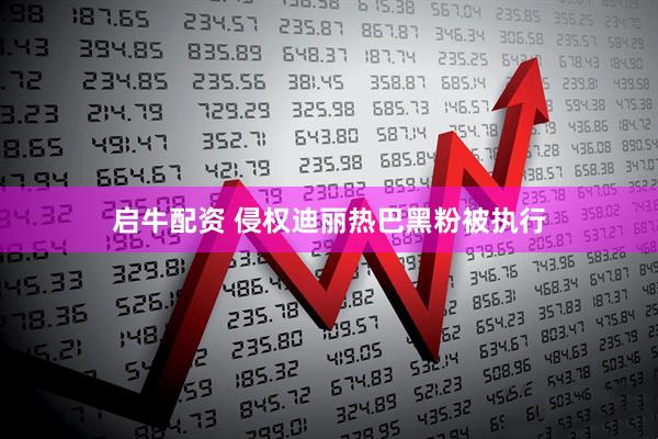 启牛配资 侵权迪丽热巴黑粉被执行