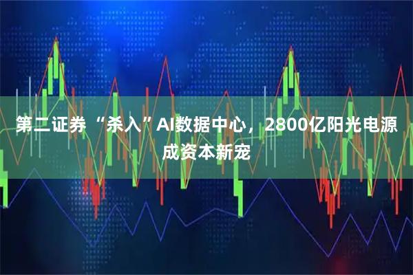 第二证券 “杀入”AI数据中心，2800亿阳光电源成资本新宠