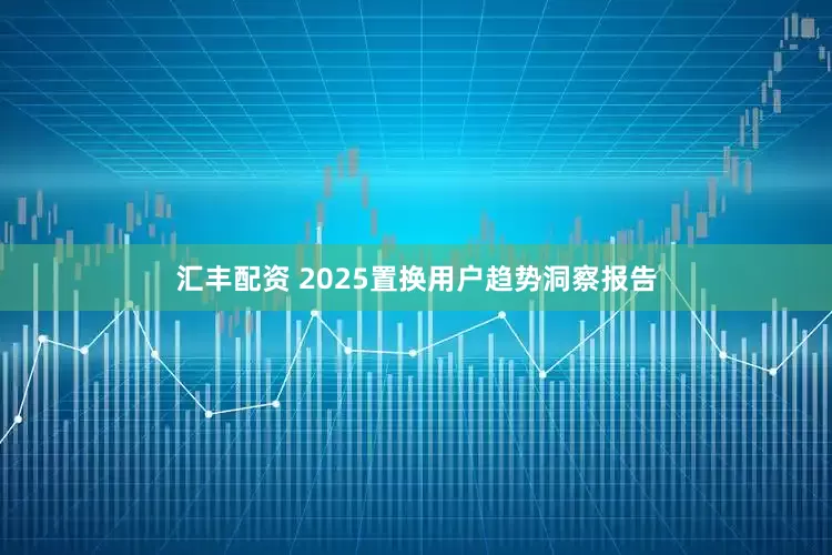 汇丰配资 2025置换用户趋势洞察报告